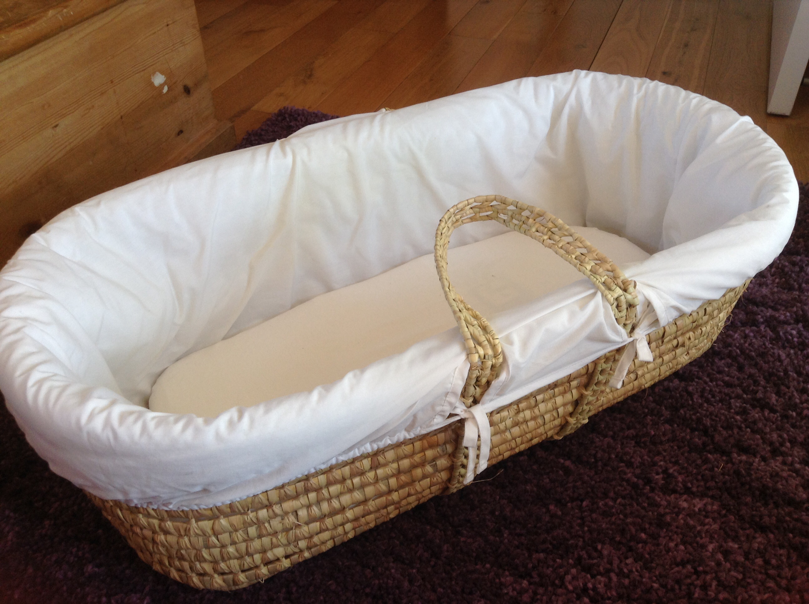 Moses basket