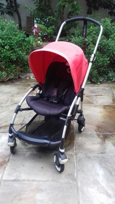 Red Bugaboo Pic 2.jpeg