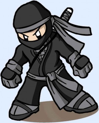 mini-ninja2.jpg