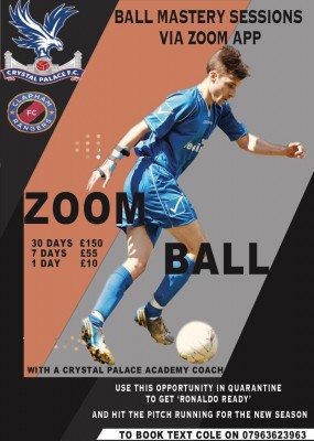 Zoom Ball flyer.jpeg