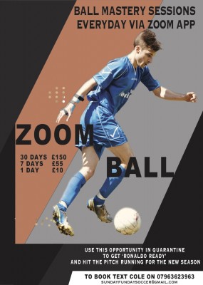 Cole Zoom Ball flyer final no badge no text pdf.jpg