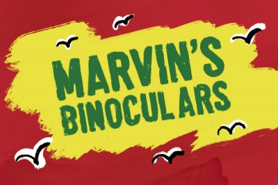 Marvin's Binoculars 2022_Email Post_ART.jpg