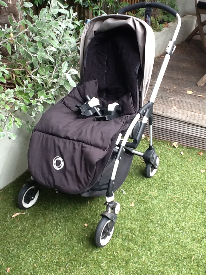 Bugaboo (2).JPG