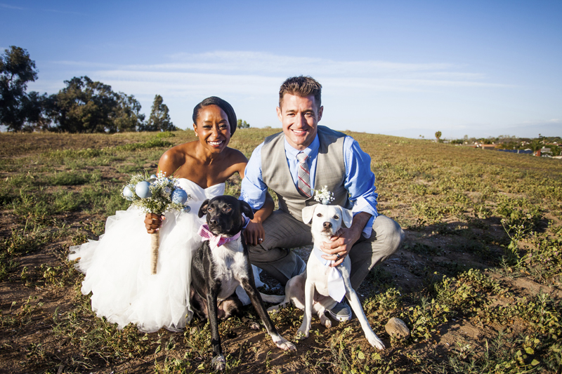 Findlay's Pet Care_Wedding Chaperone service