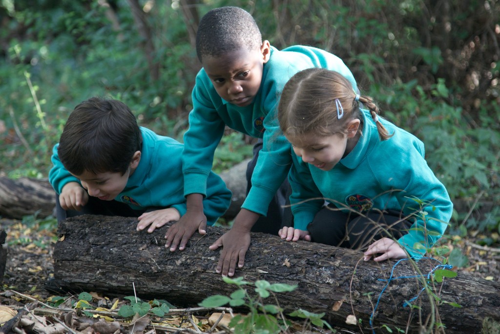 sulivan-primary-school-2019-review-nappyvalleynet